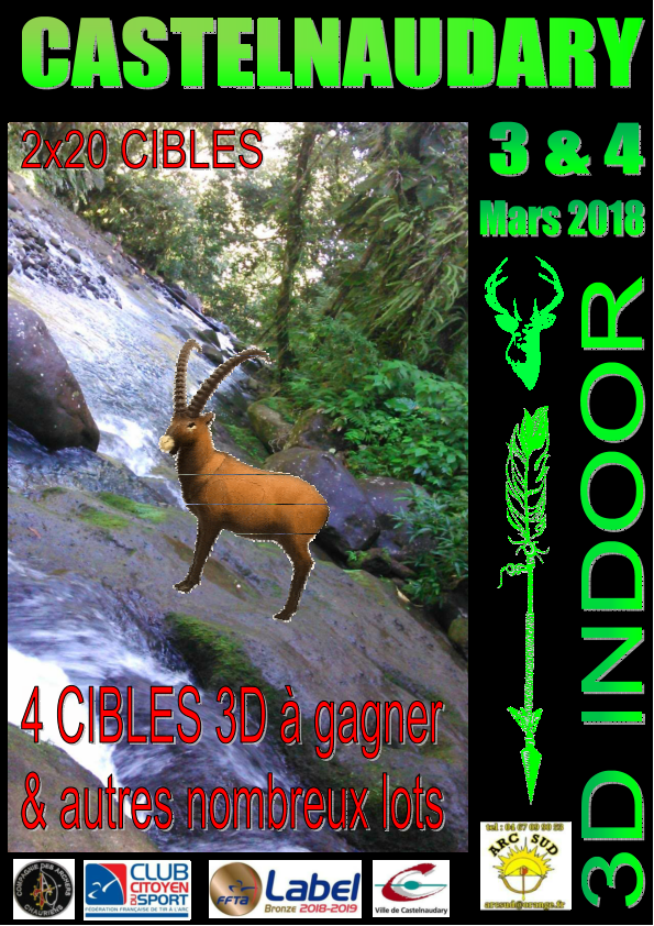 Castelnaudary 3D INDOOR 3 & 4 mars 2018